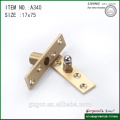 Hot sale brass &stainless steel pivot hinge for door